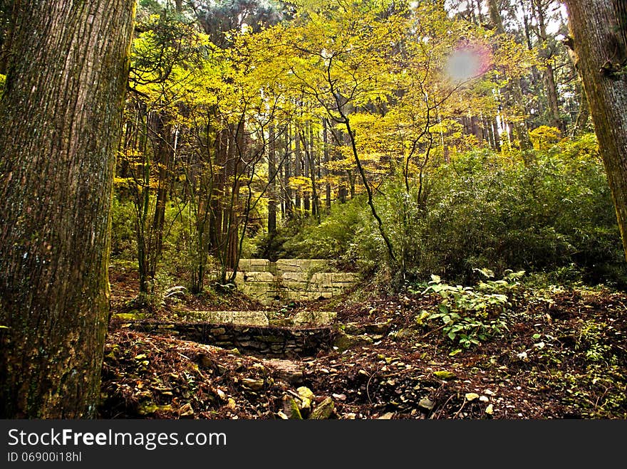 Trekking in Takao mountain forest Japan. Trekking in Takao mountain forest Japan