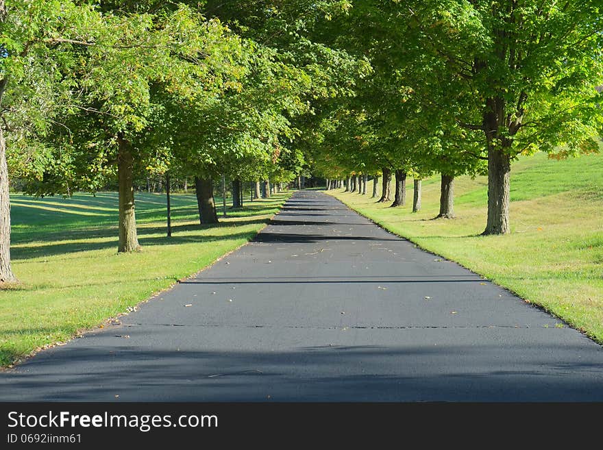 A long driveway is shown lined by bright green trees and lawn suggesting affluence and a posh home. A long driveway is shown lined by bright green trees and lawn suggesting affluence and a posh home.