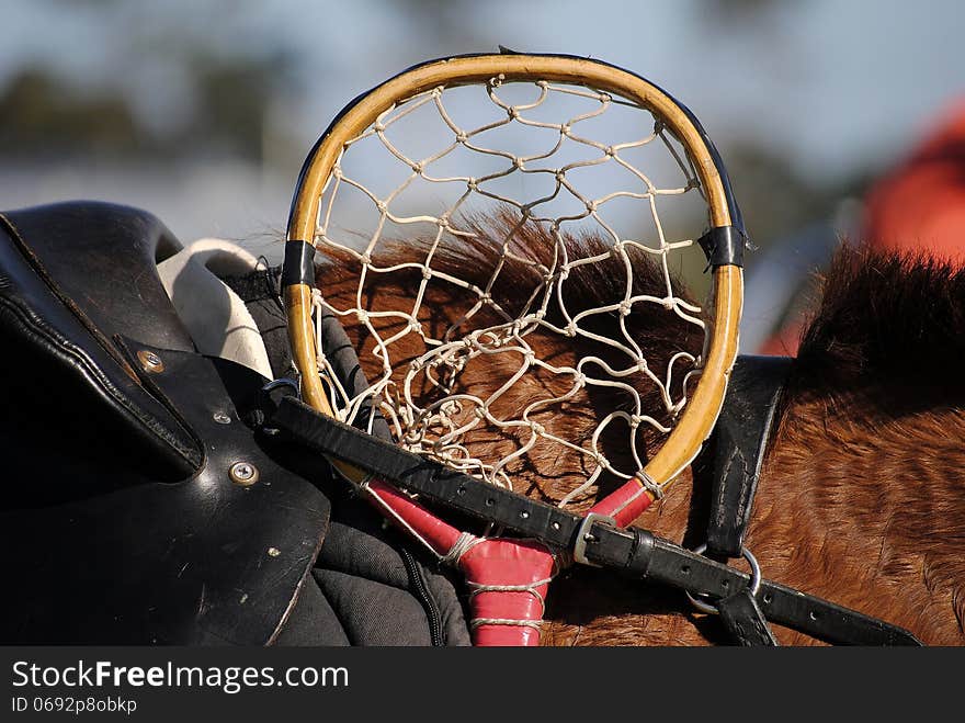 Polocrosse racquet wedged onto saddle. Polocrosse racquet wedged onto saddle