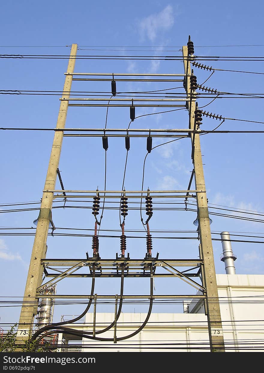 Insulators, detail of electricity post and cable line in sunny day. Insulators, detail of electricity post and cable line in sunny day