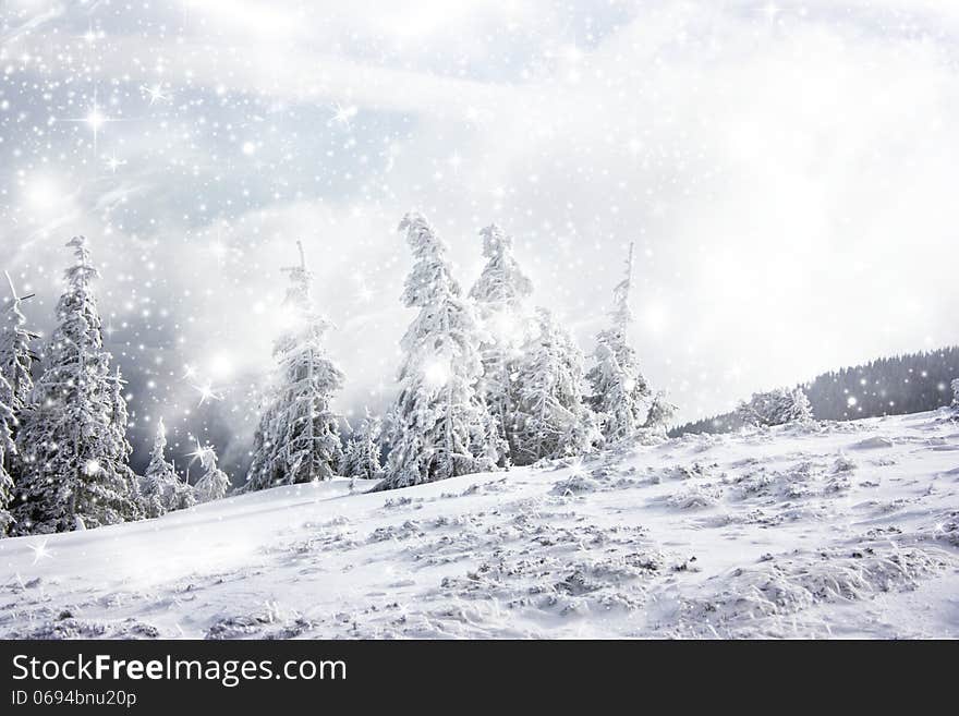 Christmas background with snowy fir trees under the glistering sky