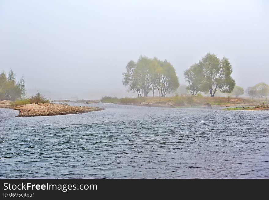 The trees in advection fog and yalu river