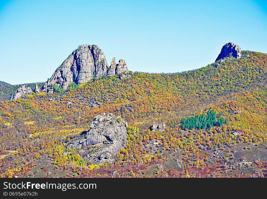 The autumn forest lama hill