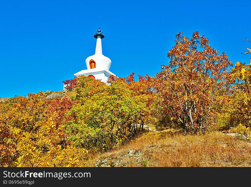 The white tower and autumn forest