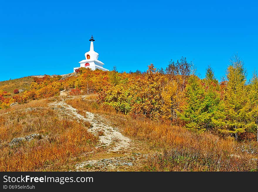 The white tower and autumn woods