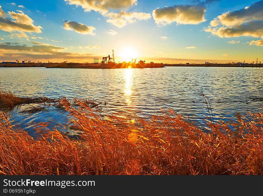 The photo taken in China's heilongjiang province daqing city,chenjiadayuan lake.The time is October 14, 2013. The photo taken in China's heilongjiang province daqing city,chenjiadayuan lake.The time is October 14, 2013.