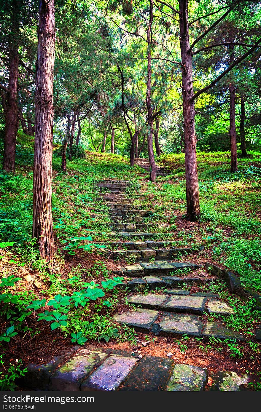 Stone Staircase Leading Up A Walkway