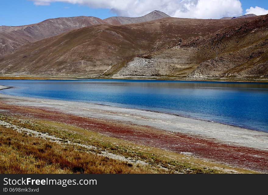 A beautiful meadow by the lake Yamdrok Tso in Tibet.