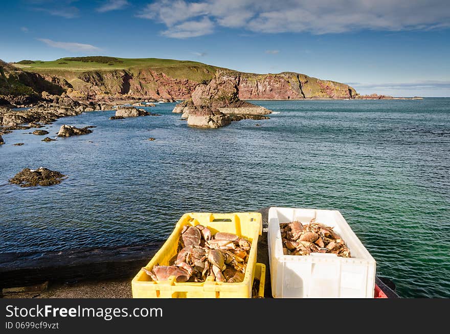 A rugged and rocky approach to St Abbs harbour. A rugged and rocky approach to St Abbs harbour