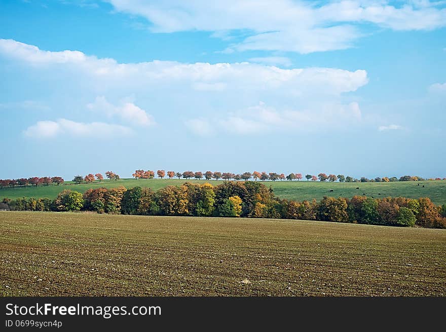 Autumn landscape with fields, meadows and trees