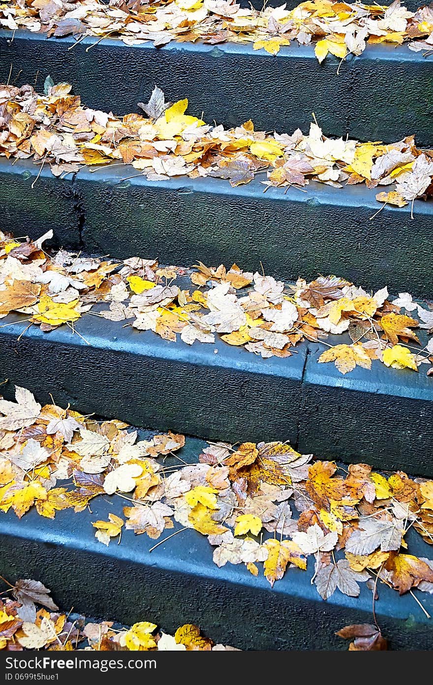 View of the historic stone steps with autumn leaves. View of the historic stone steps with autumn leaves