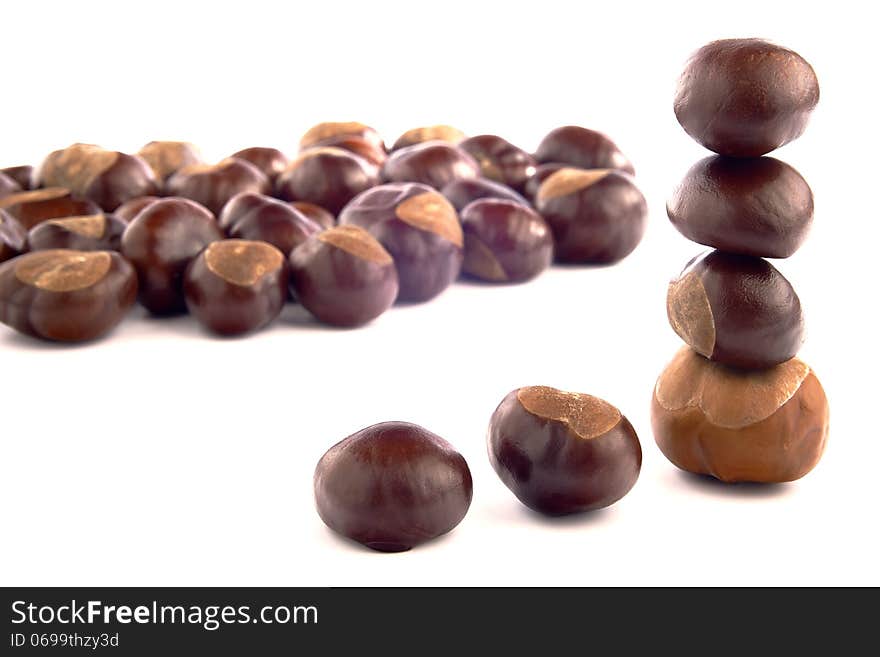 Group of chestnuts on a white background