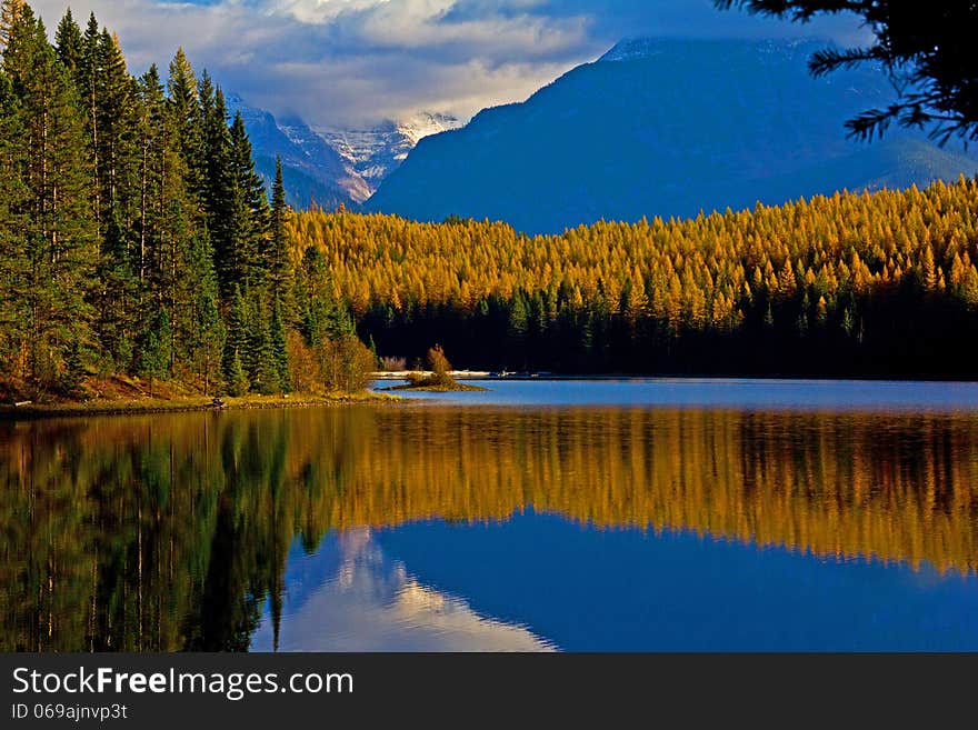 This image of the tamaracks in full autumn color reflected in the lake was taken in the Great Bear Wilderness of NW Montana. This image of the tamaracks in full autumn color reflected in the lake was taken in the Great Bear Wilderness of NW Montana.