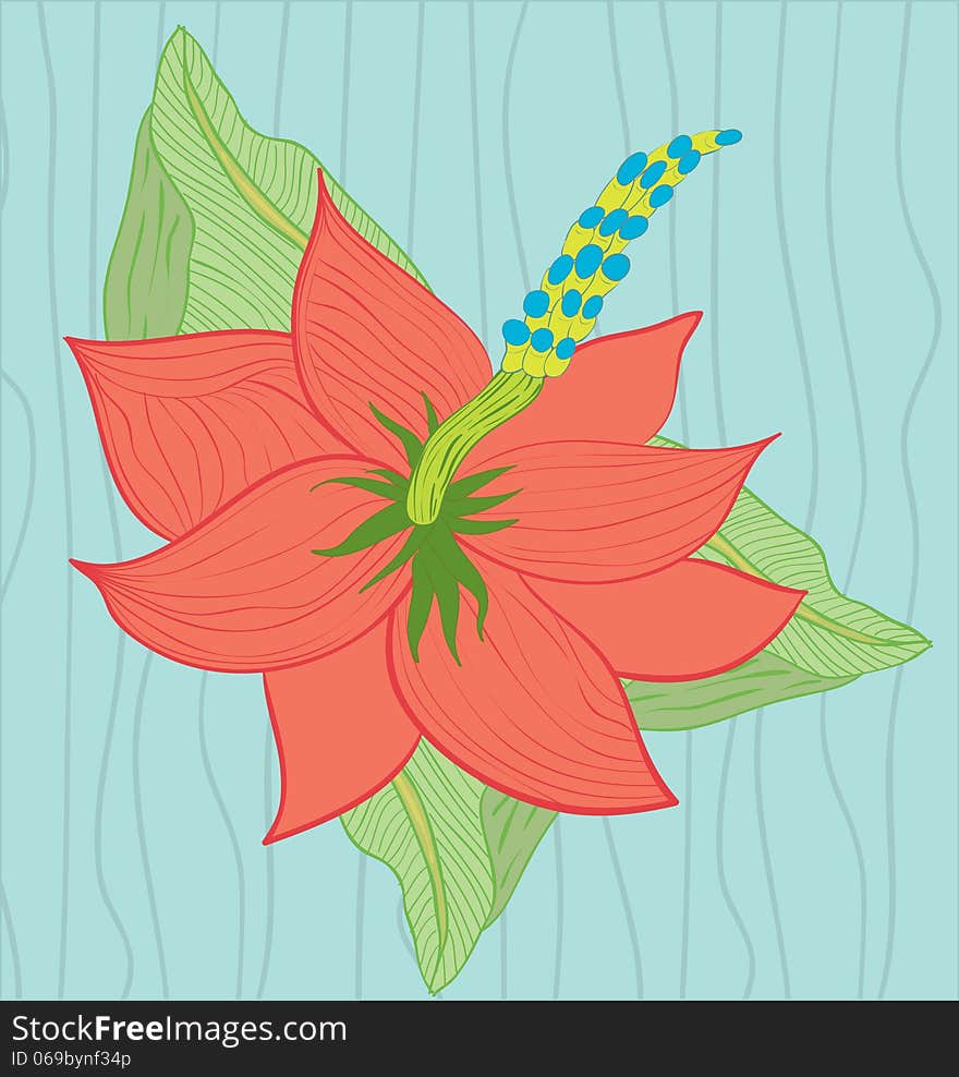 Vector illustration of Hibiscus flower on the blue background