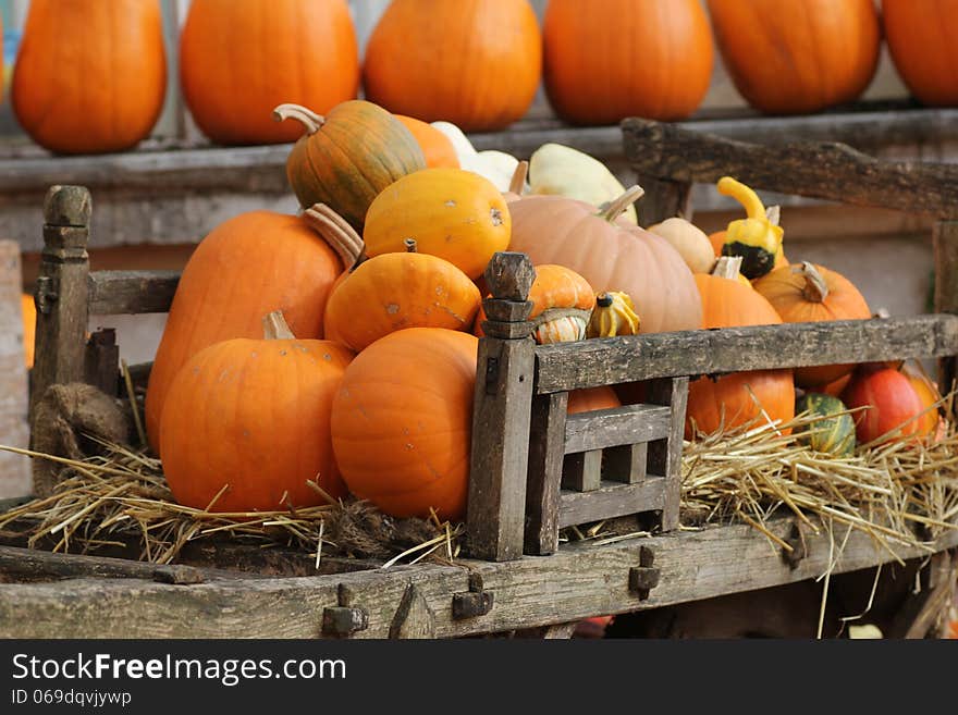 Pumpkins In Old Wooden Cart.