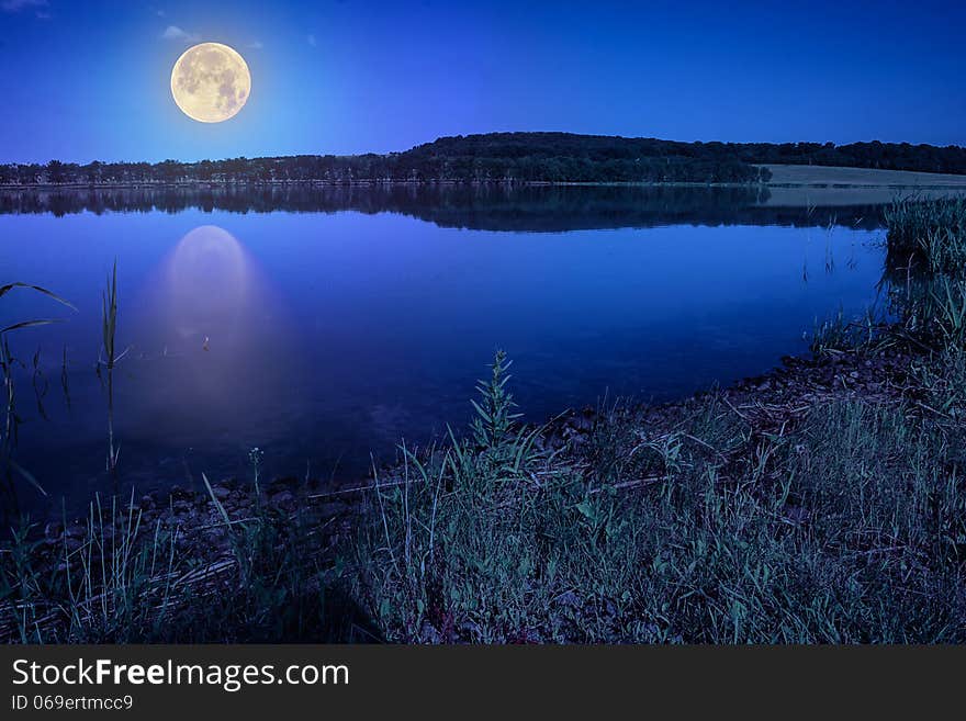 Mountain lake near forest