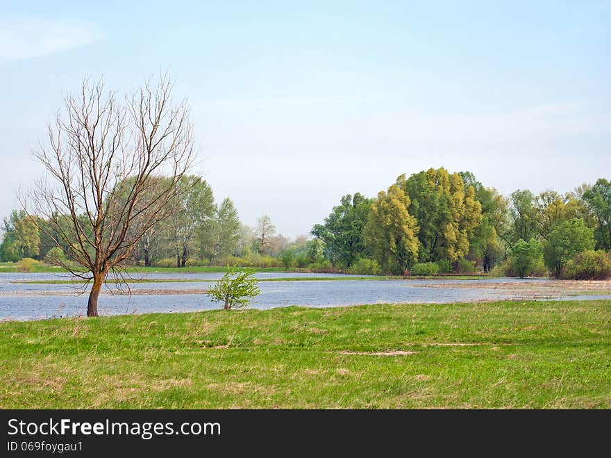 Summer landscape and river