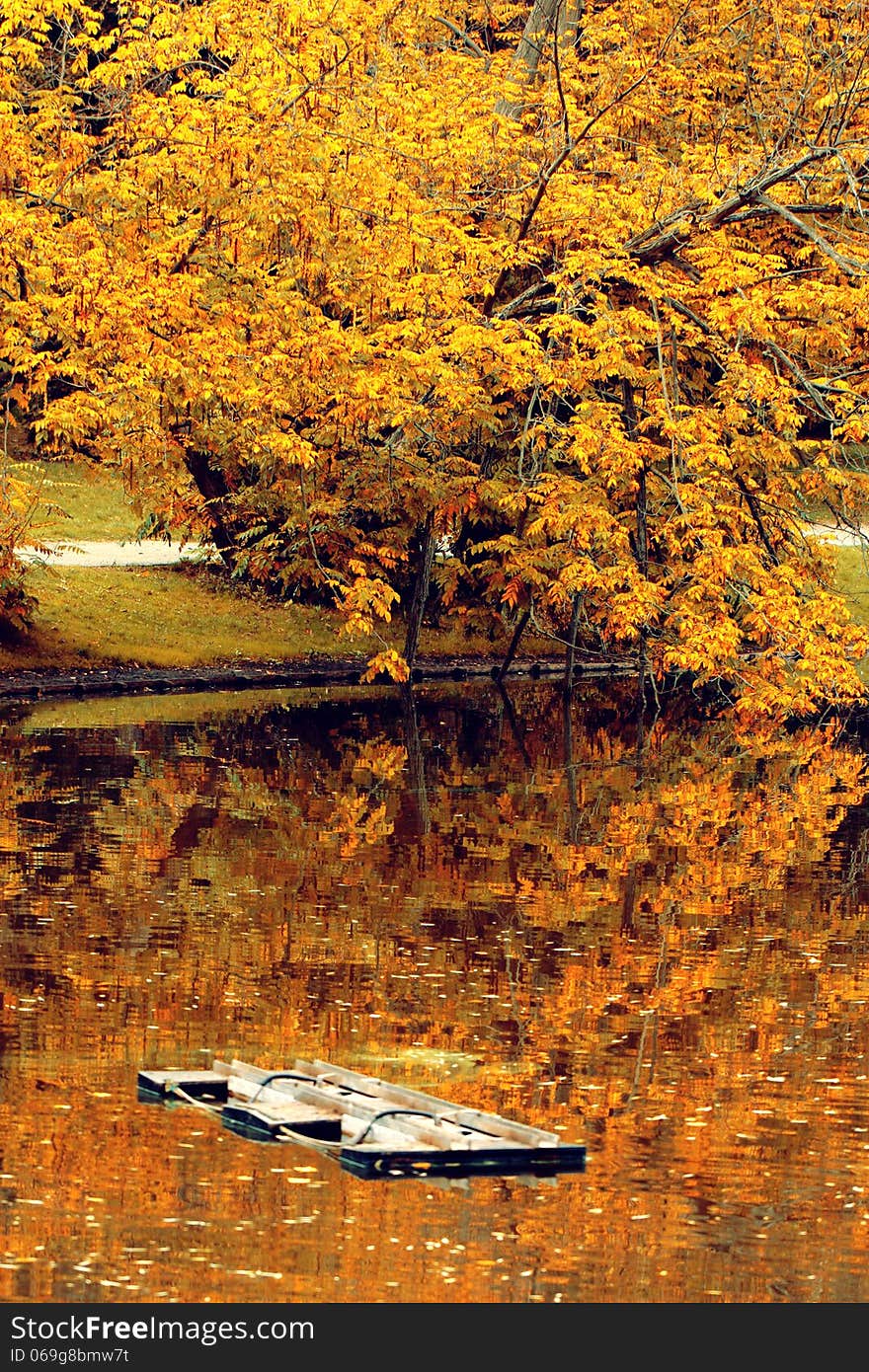 Yellow autumn tree and the object in the lake. Yellow autumn tree and the object in the lake