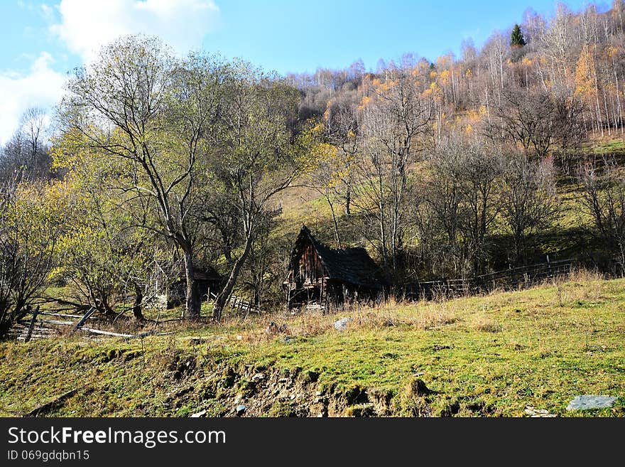 Shattered wooden house in autumn