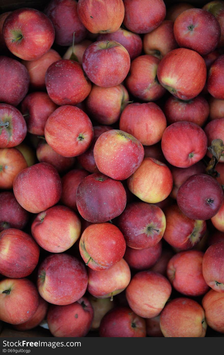 Background of fresh red apples. Background of fresh red apples.