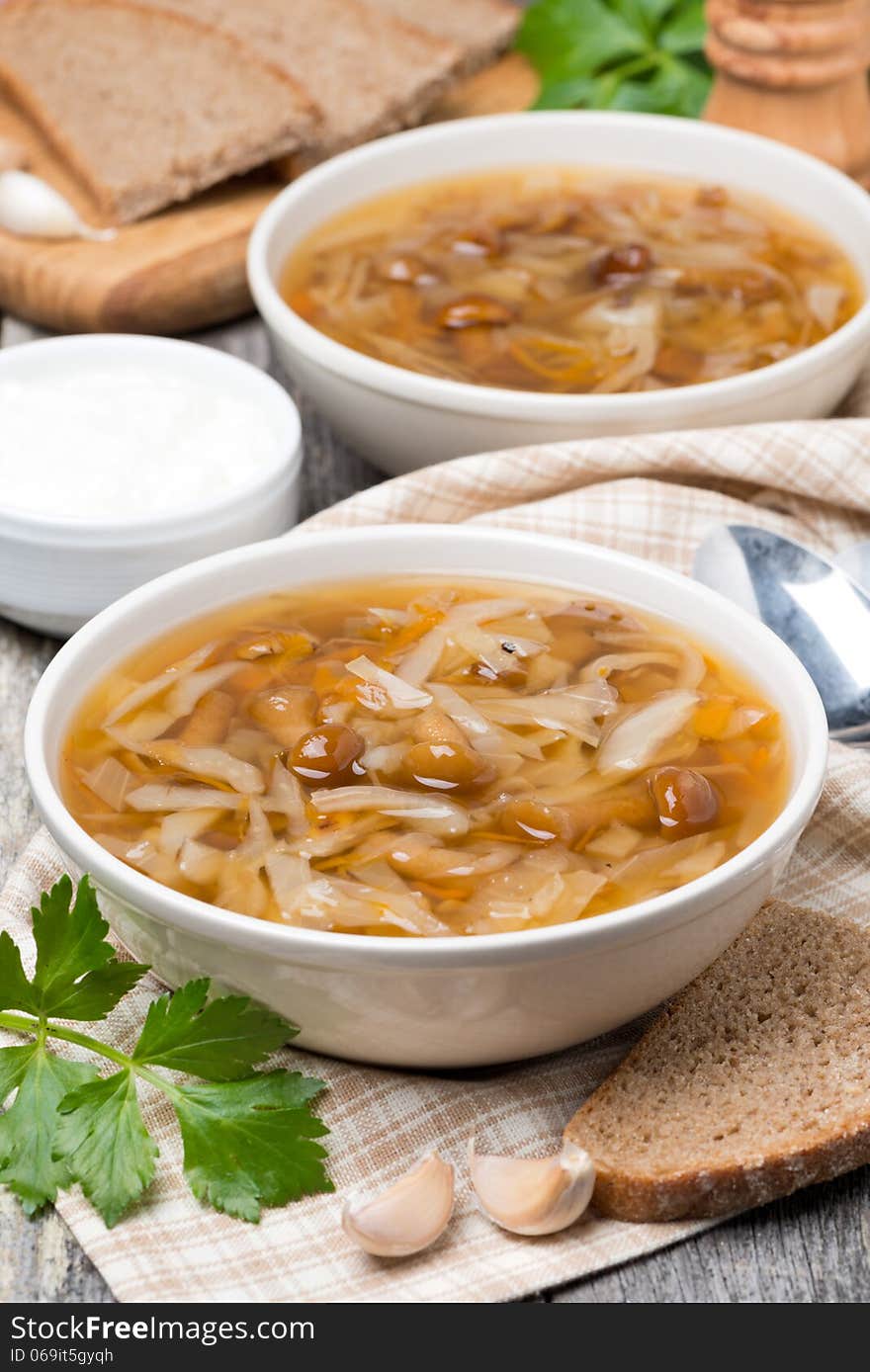 Traditional Russian cabbage soup &x28;shchi&x29; with mushrooms