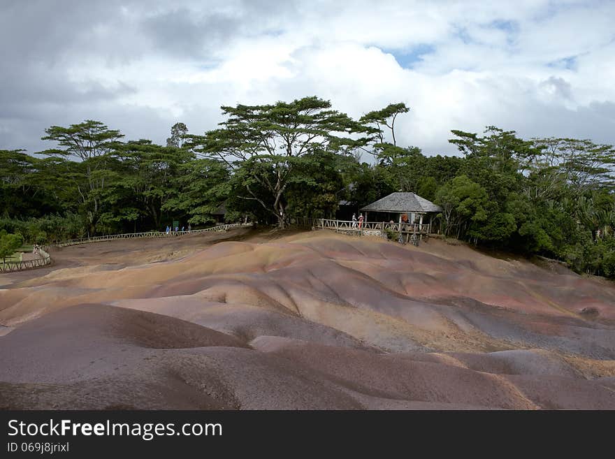 Shamarel in Mauritius