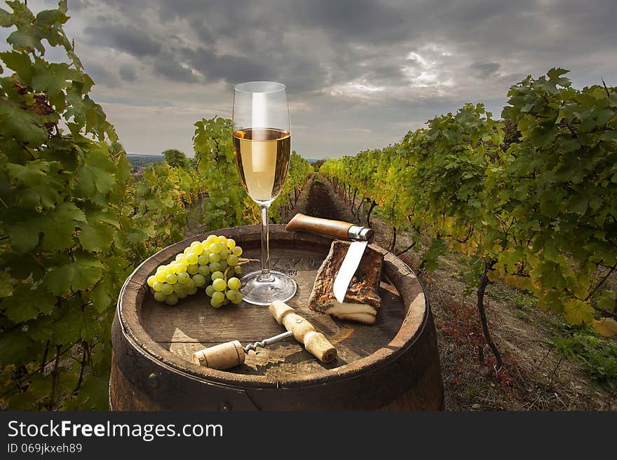 Still life with white wine on vineyard background