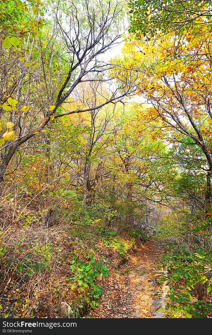 The photo taken in China's Hebei province qinhuangdao city,ancestral mountain scenic area.The time is October 4, 2013. The photo taken in China's Hebei province qinhuangdao city,ancestral mountain scenic area.The time is October 4, 2013.