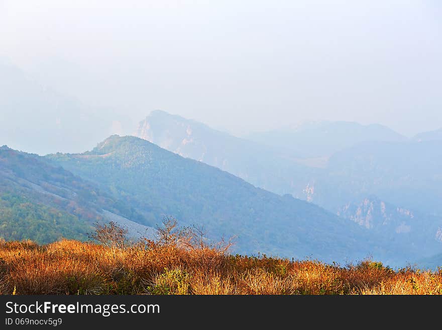 The grassland and hazy mountains