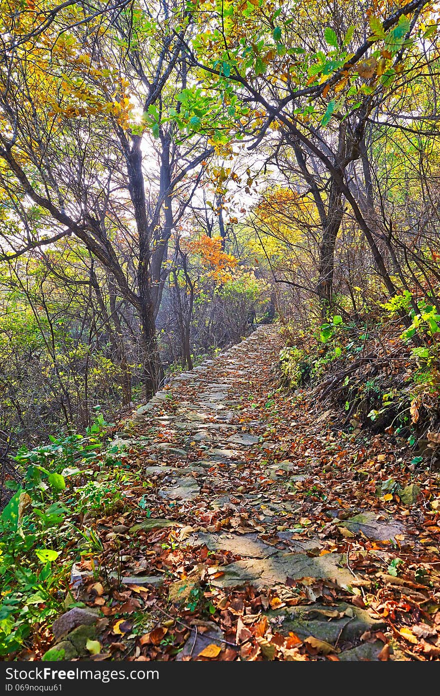 The photo taken in Chinas Hebei province qinhuangdao city,ancestral mountain scenic area.The time is October 4, 2013. The photo taken in Chinas Hebei province qinhuangdao city,ancestral mountain scenic area.The time is October 4, 2013.