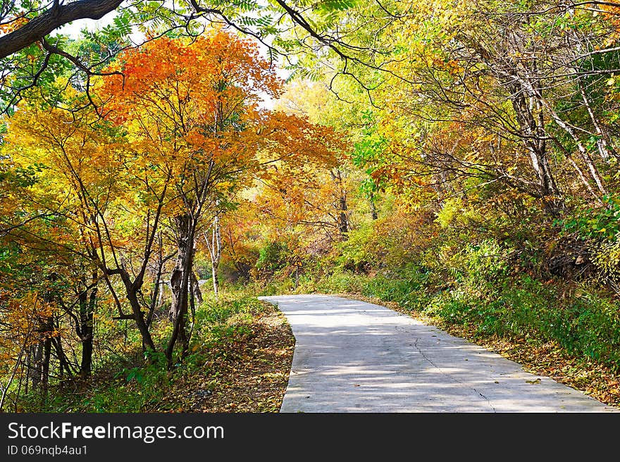 The photo taken in China's Hebei province qinhuangdao city,ancestral mountain scenic area.The time is October 4, 2013. The photo taken in China's Hebei province qinhuangdao city,ancestral mountain scenic area.The time is October 4, 2013.