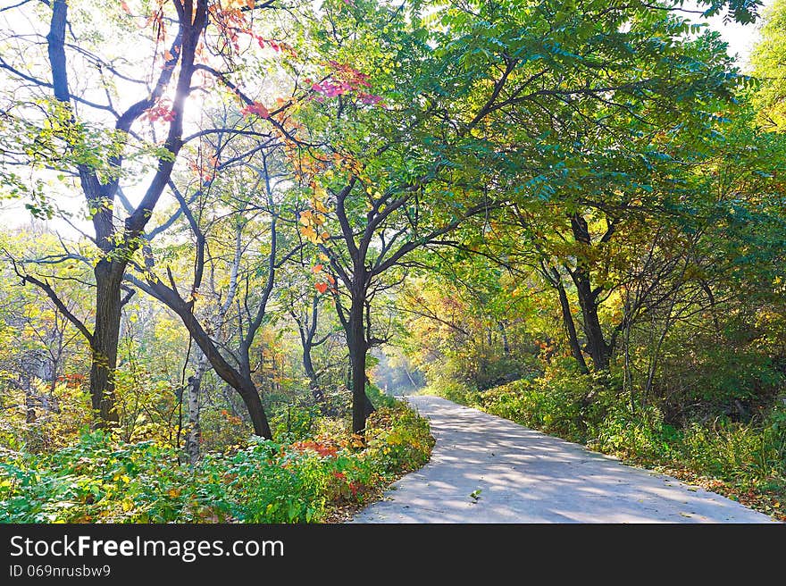 The photo taken in China's Hebei province qinhuangdao city,ancestral mountain scenic area.The time is October 4, 2013. The photo taken in China's Hebei province qinhuangdao city,ancestral mountain scenic area.The time is October 4, 2013.