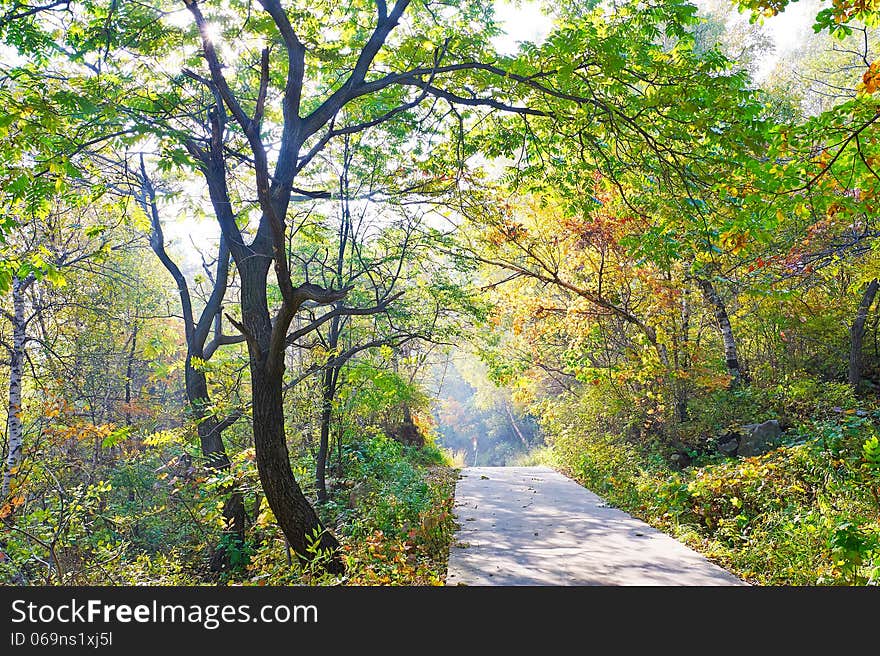 The photo taken in China's Hebei province qinhuangdao city,ancestral mountain scenic area.The time is October 4, 2013. The photo taken in China's Hebei province qinhuangdao city,ancestral mountain scenic area.The time is October 4, 2013.