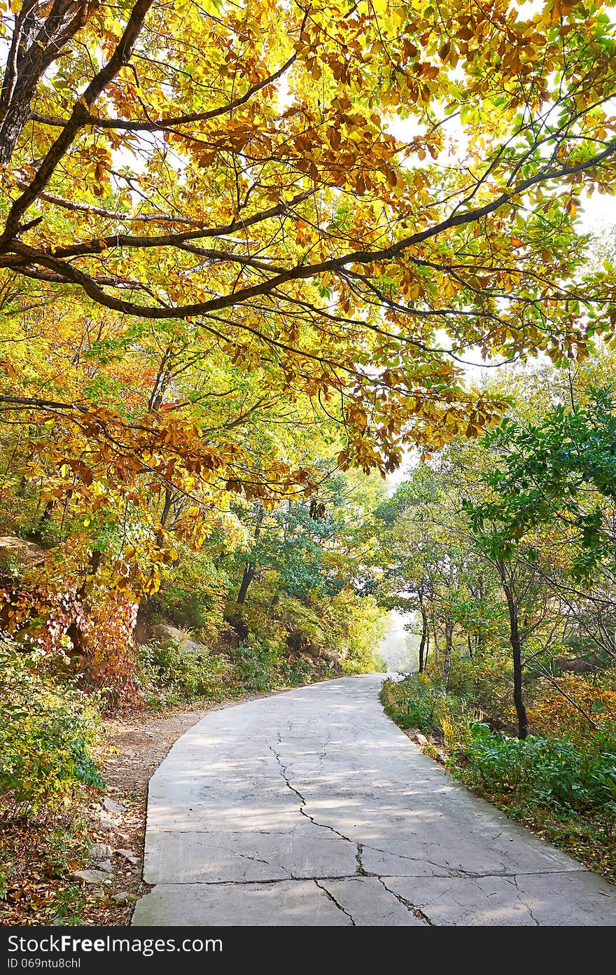 The photo taken in China's Hebei province qinhuangdao city,ancestral mountain scenic area.The time is October 4, 2013. The photo taken in China's Hebei province qinhuangdao city,ancestral mountain scenic area.The time is October 4, 2013.