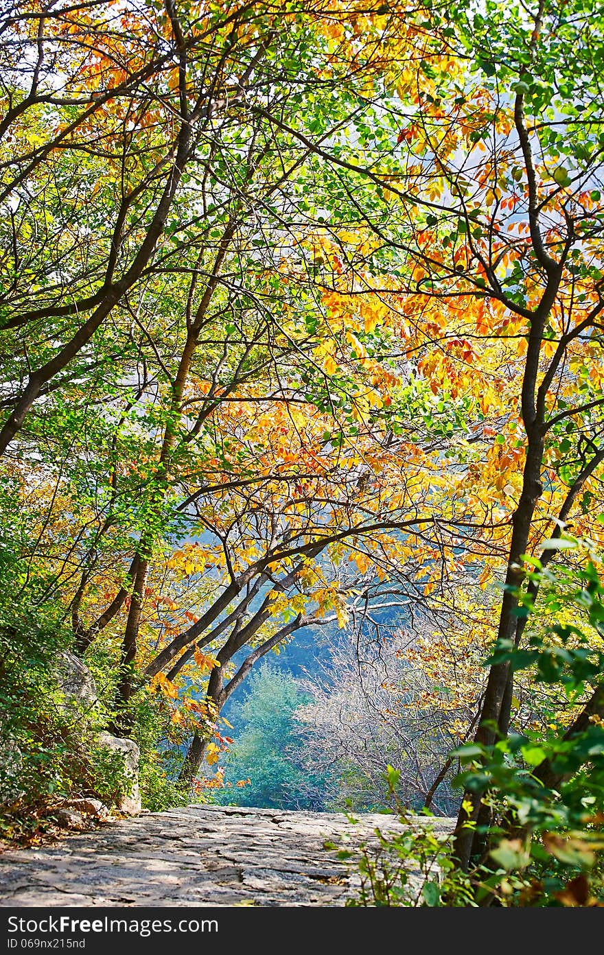 The photo taken in China's Hebei province qinhuangdao city,ancestral mountain scenic area.The time is October 4, 2013. The photo taken in China's Hebei province qinhuangdao city,ancestral mountain scenic area.The time is October 4, 2013.