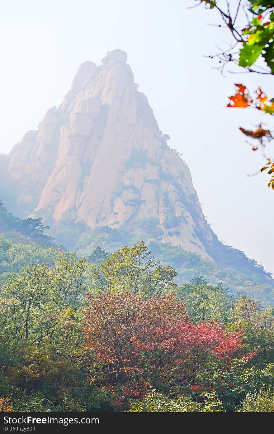 The sharp peakand forest _ autumnal scenery