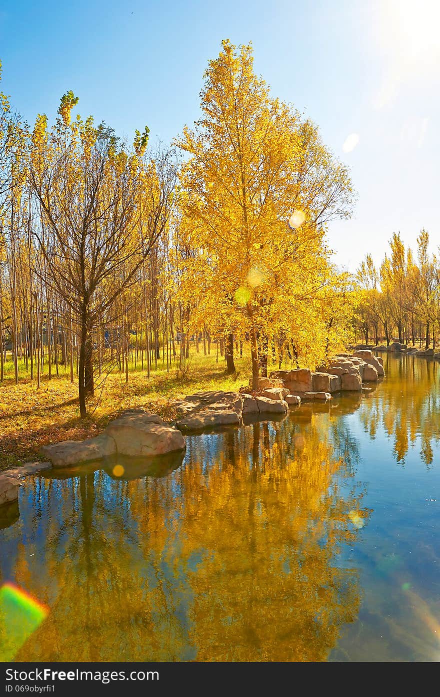 The photo taken in China's heilongjian province daqing city,botanic garden scenic spot.The time is October 7, 2013. The photo taken in China's heilongjian province daqing city,botanic garden scenic spot.The time is October 7, 2013.