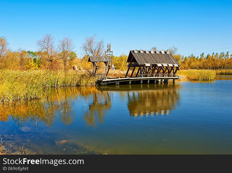 Amusement pier _ autumnal scenery