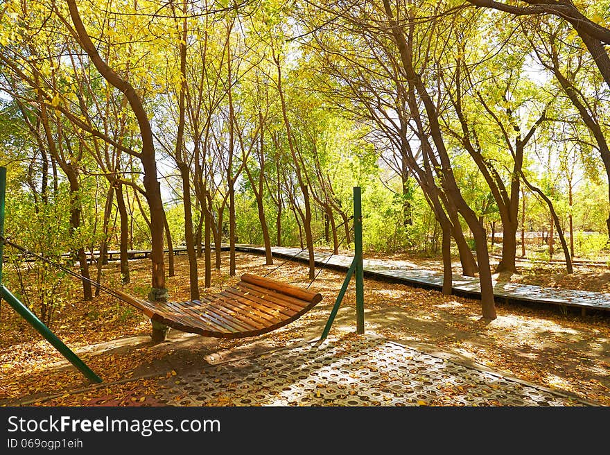 The swing in forest _ autumnal scenery