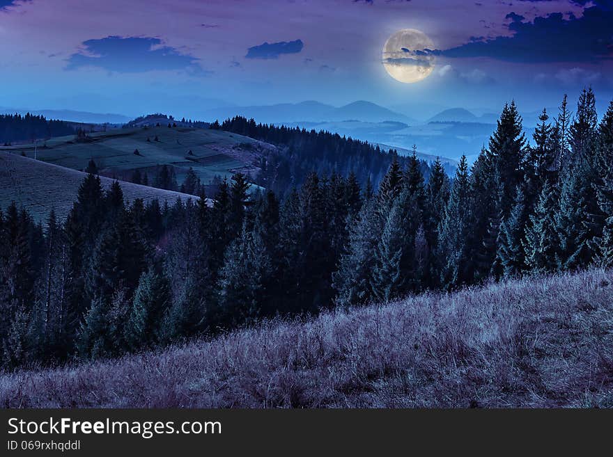 Mountain autumn landscape pine trees near valley and colorful forest on hillside under blue sky with clouds. Mountain autumn landscape pine trees near valley and colorful forest on hillside under blue sky with clouds