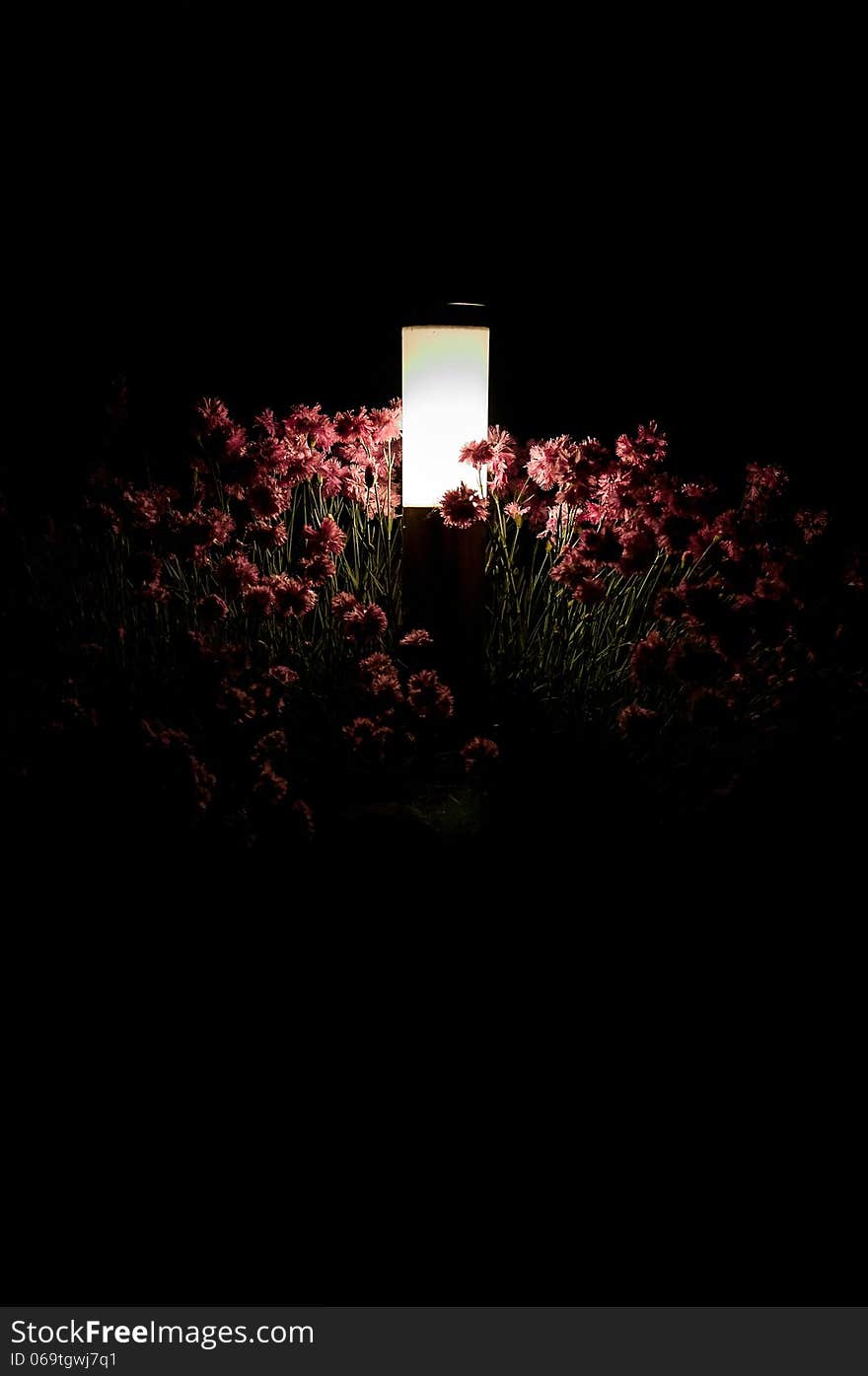 Light lamp on the black background