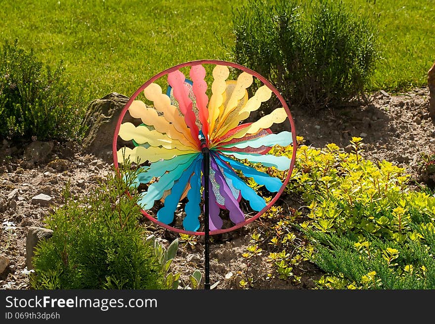 Colored pinwheel in the garden