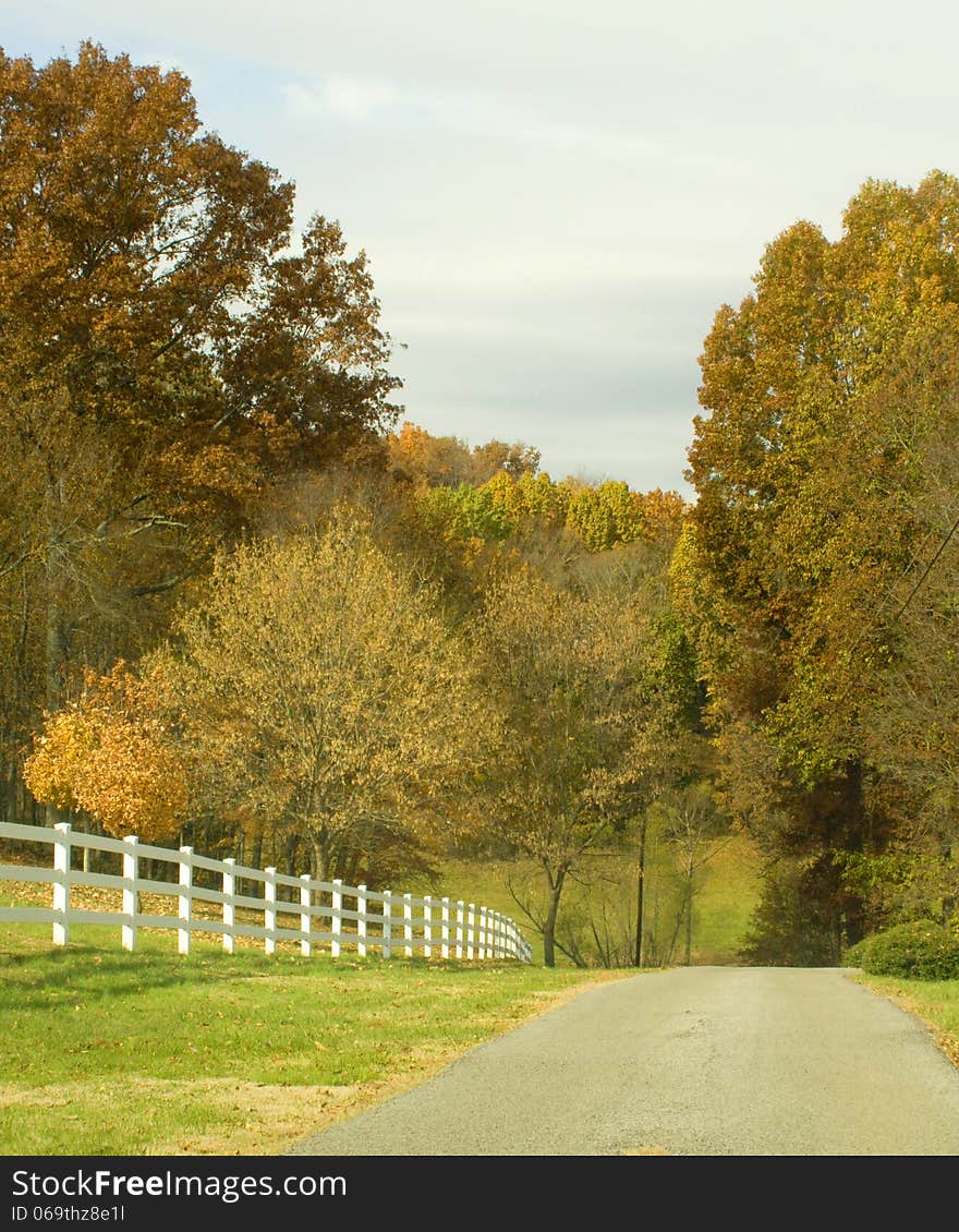 Country road with trees turning during fall