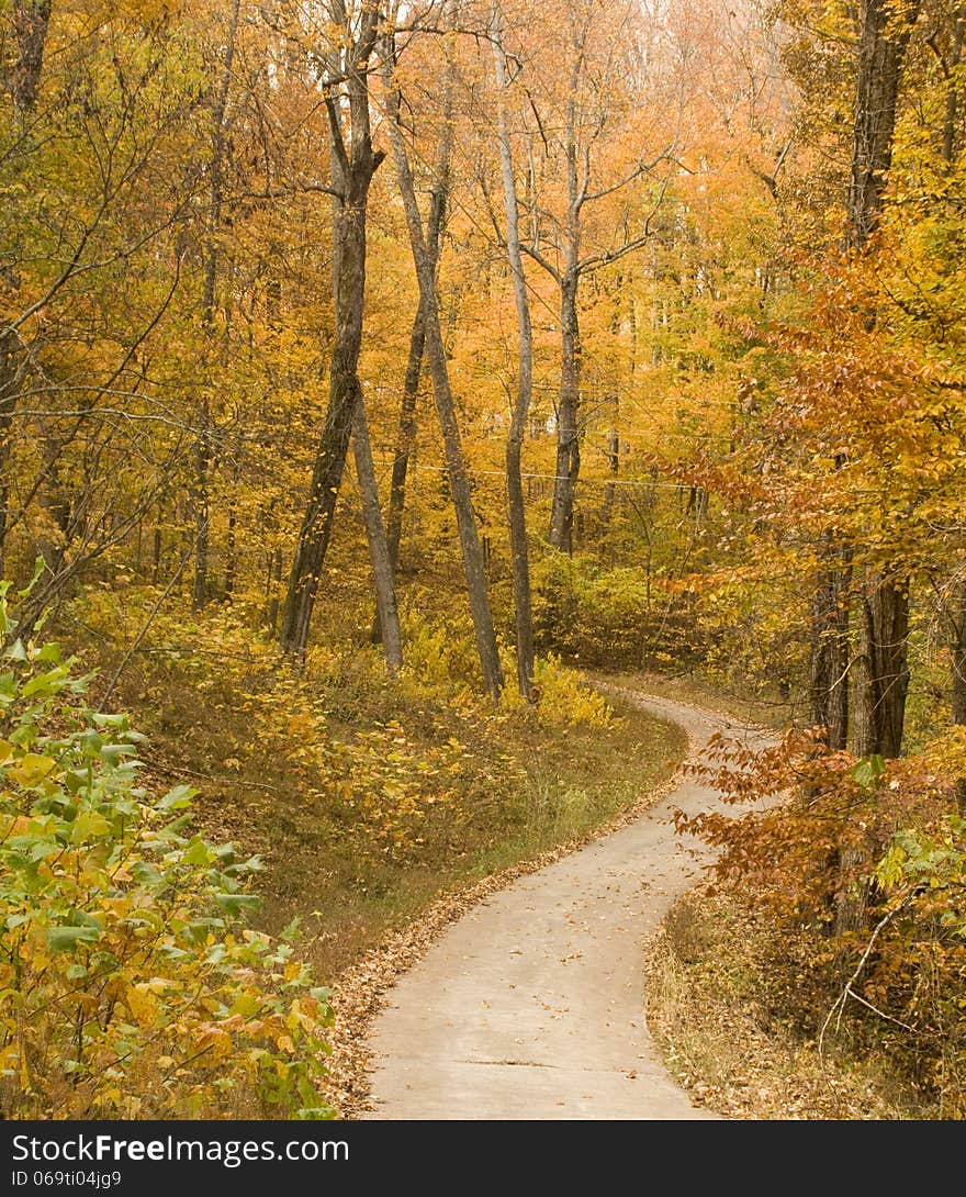 Country road with trees turning during fall