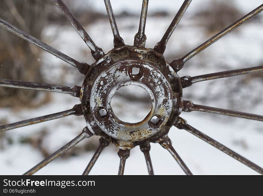 Wheel sprocket and spokes