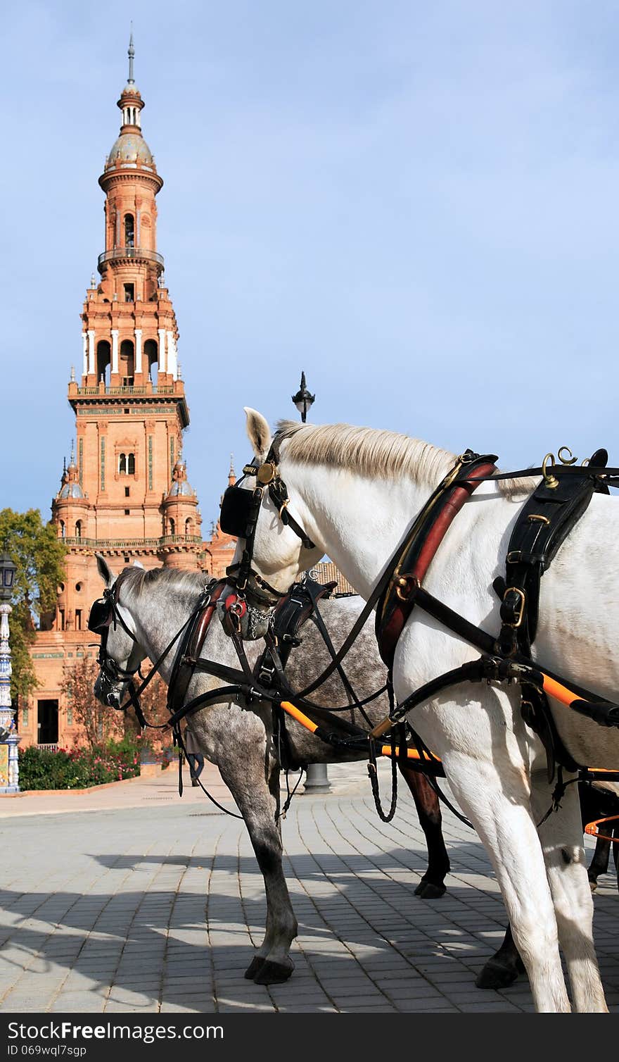 Pair horses with coach against ancient belfry. Plaza de Espana, Seville, Spain