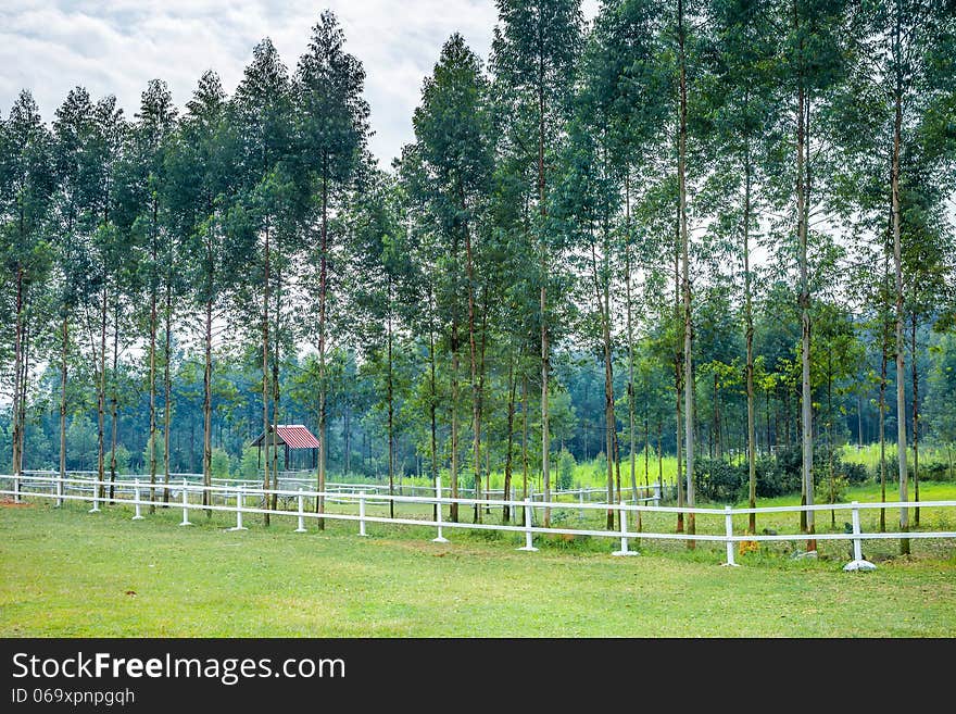 Empty stud farm in forest