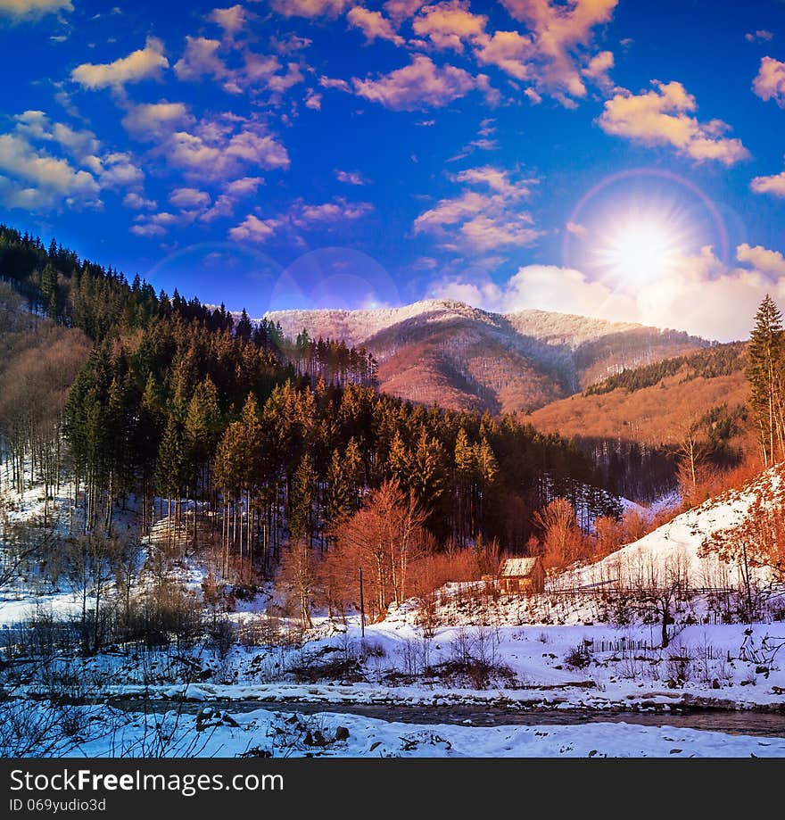 Coniferous forest on a steep mountain slope in winter