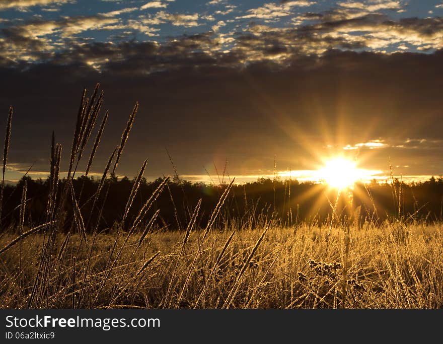 Sunrise over the forest