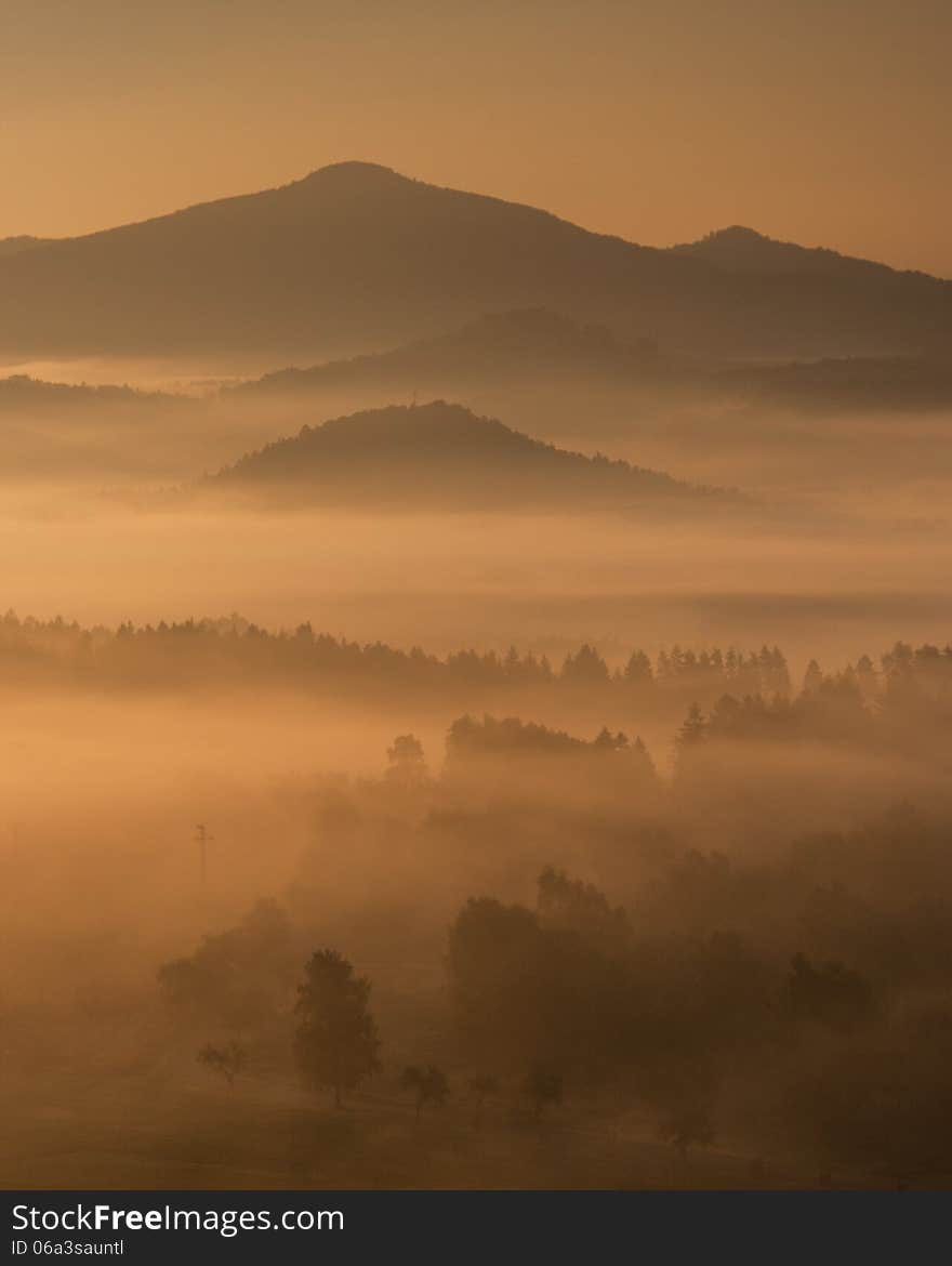 Fog in the valley in the forest. Fog in the valley in the forest